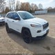 1C4PJLABXHW527307 2017 Jeep Cherokee Altitude Fwd auction photo thumbnail 1