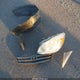 2T1BR38E23C114057 2003 Toyota Corolla Le auction photo thumbnail 12