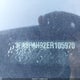 3FA6P0H92ER105970 2014 Ford Fusion Se auction photo thumbnail 12