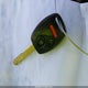 2HGFA16509H319702 2009 Honda Civic Lx auction photo thumbnail 11