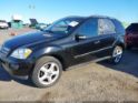 4JGBB86E48A323103 2008 Mercedes-Benz Ml 350 4Matic auction photo thumbnail 2