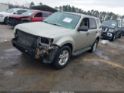1FMCU0DG4BKA04614 2011 Ford Escape Xlt auction photo thumbnail 2