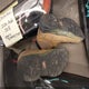 PARTSONLY111725 2000 Other Other auction photo thumbnail 15