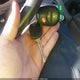 5TFJU4GNXBX006609 2011 Toyota Tacoma Prerunner V6 auction photo thumbnail 11