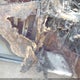 1G1YD2D36S5607140 2025 Chevrolet Corvette Z06 Rwd 1Lz auction photo thumbnail 9
