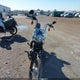 1HD1YJJ28LB018725 2020 Harley-Davidson Fxbb auction photo thumbnail 5