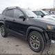 1C4PJMBX8LD500952 2020 Jeep Cherokee Trailhawk 4X4 auction photo thumbnail 13