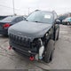 1C4PJMBX8LD500952 2020 Jeep Cherokee Trailhawk 4X4 auction photo thumbnail 2