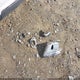 2GNALDEK9G1133536 2016 Chevrolet Equinox Ltz auction photo thumbnail 12