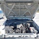 5TETX22N58Z555857 2008 Toyota Tacoma auction photo thumbnail 10
