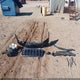 1J8HR68218C199225 2008 Jeep Grand Cherokee Overland auction photo thumbnail 12