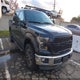 1FTEW1EG4FKD13114 2015 Ford F-150 Xlt auction photo thumbnail 1