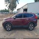 5J6RW5H32KL004967 2019 Honda Cr-V Lx auction photo thumbnail 14