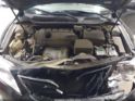 4T4BF3EK3AR029961 2010 Toyota Camry auction photo thumbnail 10