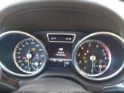 4JGDF7CE9DA258741 2013 Mercedes-Benz Gl 450 4Matic auction photo thumbnail 6