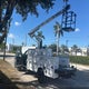 1FDUF4GY2FEA76233 2015 Ford F-450 Chassis Xl auction photo thumbnail 7