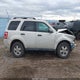 1FMCU9DG2AKC57126 2010 Ford Escape Xlt auction photo thumbnail 14