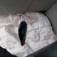 2C4RC1BG6ER314456 2014 Chrysler Town & Country Touring auction photo thumbnail 11