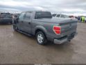 1FTEW1CM9DFC11676 2013 Ford F-150 Xlt auction photo thumbnail 3