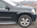4JGBF7BE7AA617542 2010 Mercedes-Benz Gl 450 4Matic auction photo thumbnail 12