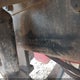 516G4G4B1HH222545 2017 Autocar Llc Xspotter-Off auction photo thumbnail 8