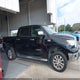 5TFHW5F12DX295761 2013 Toyota Tundra Platinum 5.7L V8 auction photo thumbnail 13
