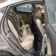 5NPDH4AE4DH297925 2013 Hyundai Elantra Limited auction photo thumbnail 8