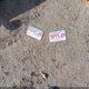 KNAFU6A26A5181057 2010 Kia Forte Koup Ex auction photo thumbnail 12