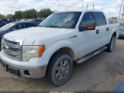 1FTFW1EF2DKD59615 2013 Ford F-150 Xlt auction photo thumbnail 2