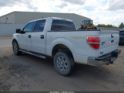 1FTFW1EF2DKD59615 2013 Ford F-150 Xlt auction photo thumbnail 3