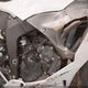 JKBZXJJ1XSA030755 2025 Kawasaki Zx636 K auction photo thumbnail 8