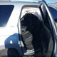 1GKKRSKD7HJ292203 2017 GMC Acadia Limited auction photo thumbnail 8