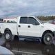 1F7RW14W78FA06803 2008 Ford F150 auction photo thumbnail 13
