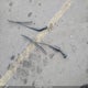 1GCVYEET3NZ190796 2022 Chevrolet Silverado 1500 Ltd 4Wd Standard Bed Rst auction photo thumbnail 11