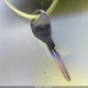 3N1CE2CPXFL369563 2015 Nissan Versa Note S (Sr)/S Plus/Sl/Sr/Sv auction photo thumbnail 11