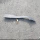 2G1FK1EJ0A9132221 2010 Chevrolet Camaro 2Ss auction photo thumbnail 12