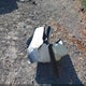 2HGFB2F54CH306185 2012 Honda Civic Lx auction photo thumbnail 12