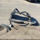 5YFBURHE7JP787683 2018 Toyota Corolla Le auction photo thumbnail 12