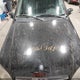 4JGAB57E73A420586 2003 Mercedes-Benz Ml 350 auction photo thumbnail 10