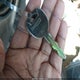 2GCEK19TXY1353591 2000 Chevrolet Silverado 1500 Lt auction photo thumbnail 11