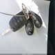 5XXGT4L37HG173351 2017 Kia Optima Lx auction photo thumbnail 11