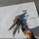 JT2SK12E7S0273689 1995 Toyota Camry Le auction photo thumbnail 11