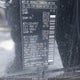 KNMAT2MV8GP654534 2016 Nissan Rogue S auction photo thumbnail 9