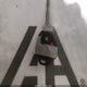 4T4BF3EK8AR006594 2010 Toyota Camry Le auction photo thumbnail 11