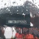 KNMAT2MV0FP535925 2015 Nissan Rogue Sv auction photo thumbnail 12