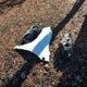 3GNAXUEVXNL105495 2022 Chevrolet Equinox Awd Lt auction photo thumbnail 12