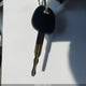 KMHDN46DX5U983981 2005 Hyundai Elantra Gls/Gt auction photo thumbnail 11