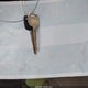 JT2GK12E3S0101407 1995 Toyota Camry Le auction photo thumbnail 11