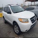 5NMSG13D19H266407 2009 Hyundai Santa Fe Gls auction photo thumbnail 1