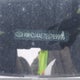 KMHCU4AE7EU769996 2014 Hyundai Accent Gls auction photo thumbnail 7